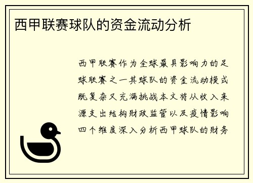 西甲联赛球队的资金流动分析